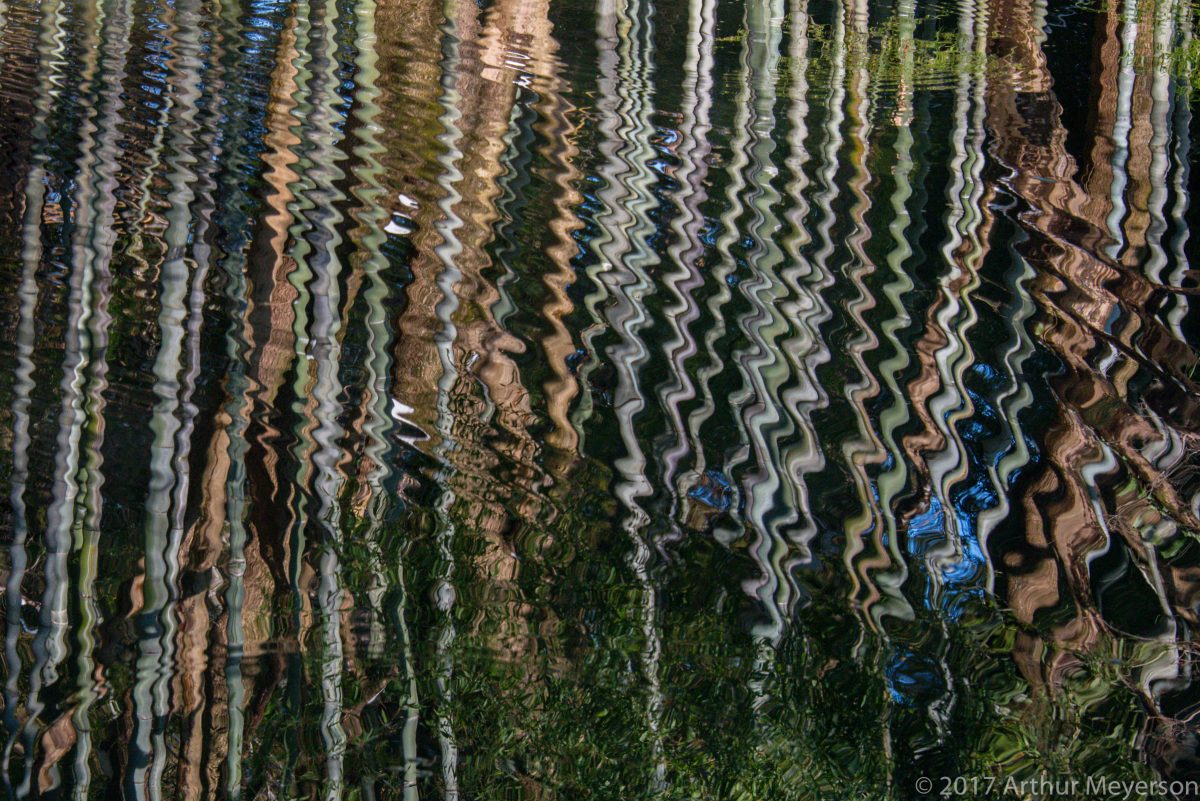 Bamboo Reflection, Japan