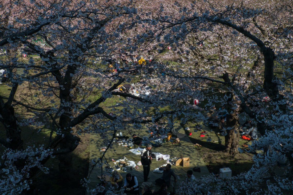 Picnic