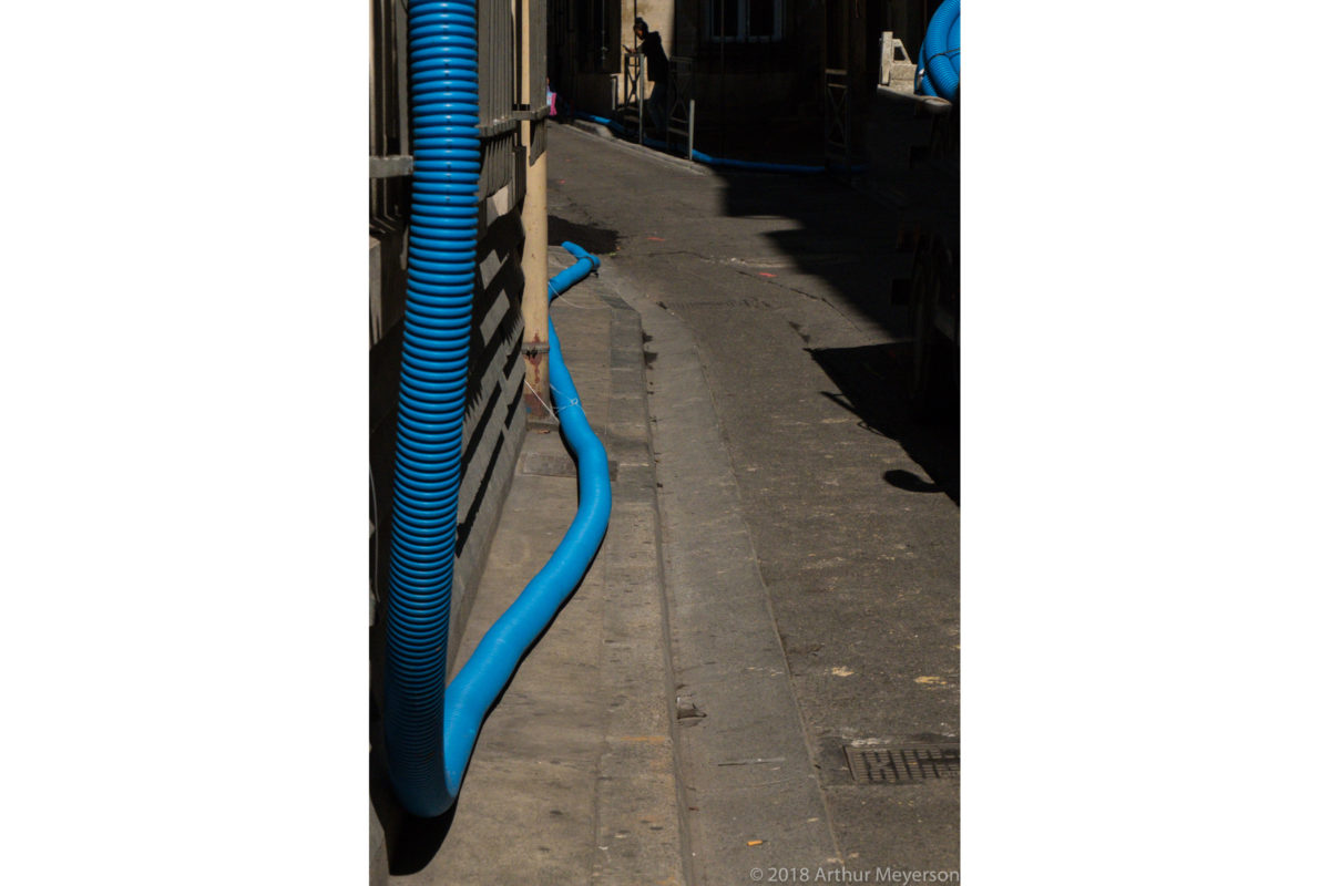 Blue Hose, Avignon