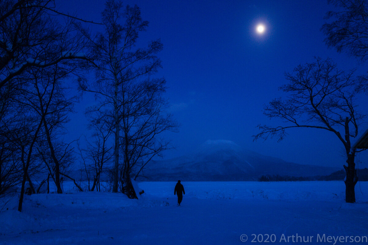 Winterscape at Night