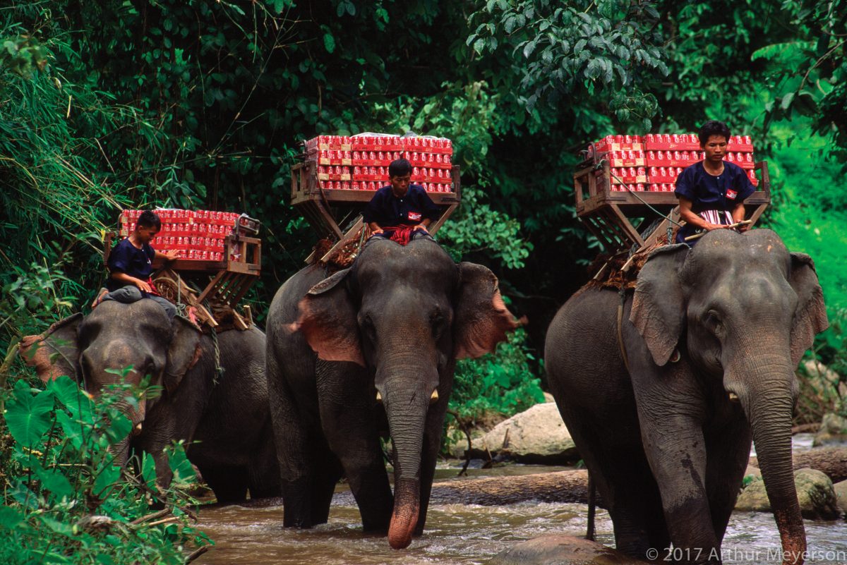 Elephant Delivery, Thailand