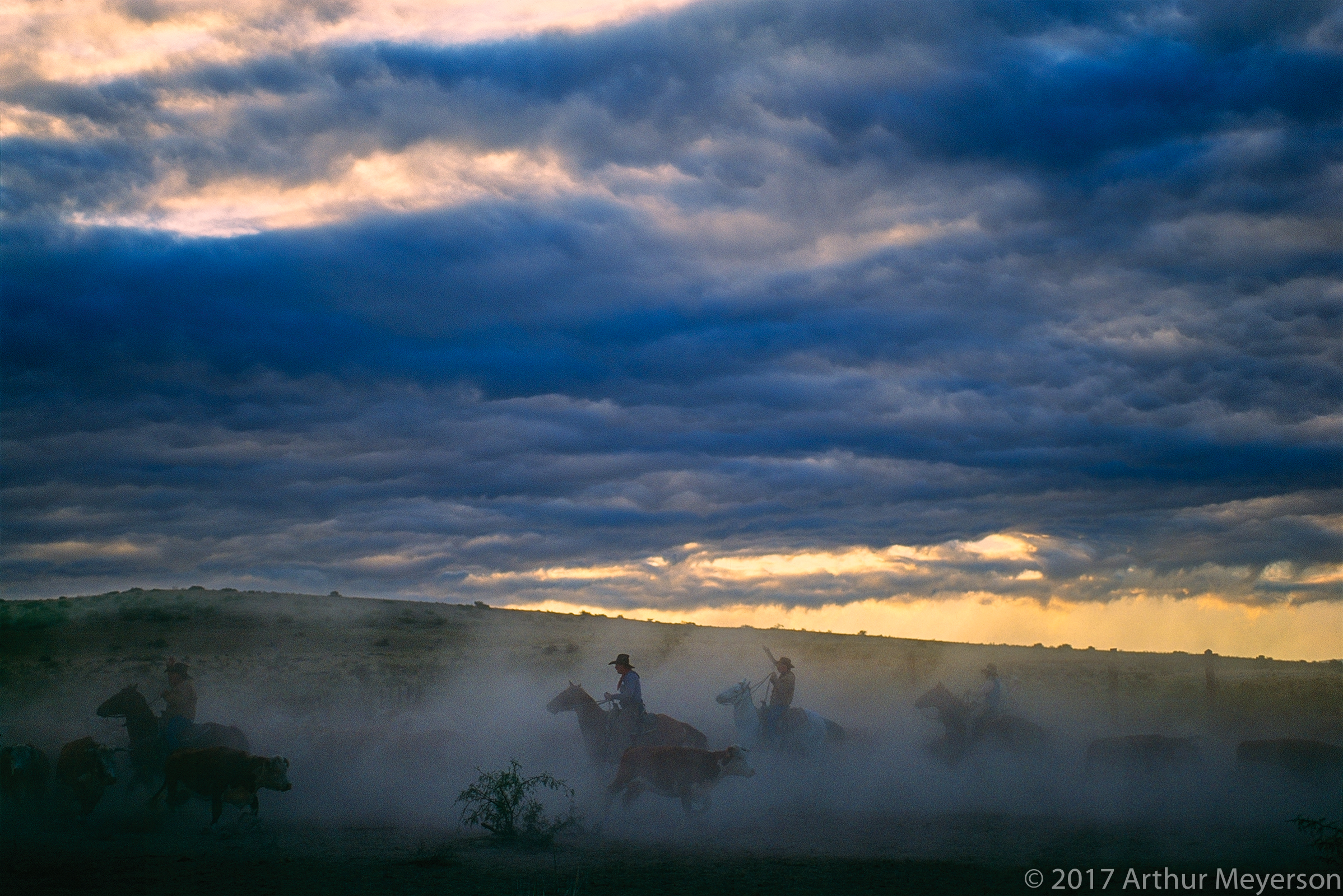 Round Up The Long X Ranch Arthur Meyerson