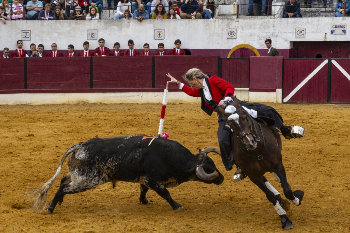 Bullfight, Portugal