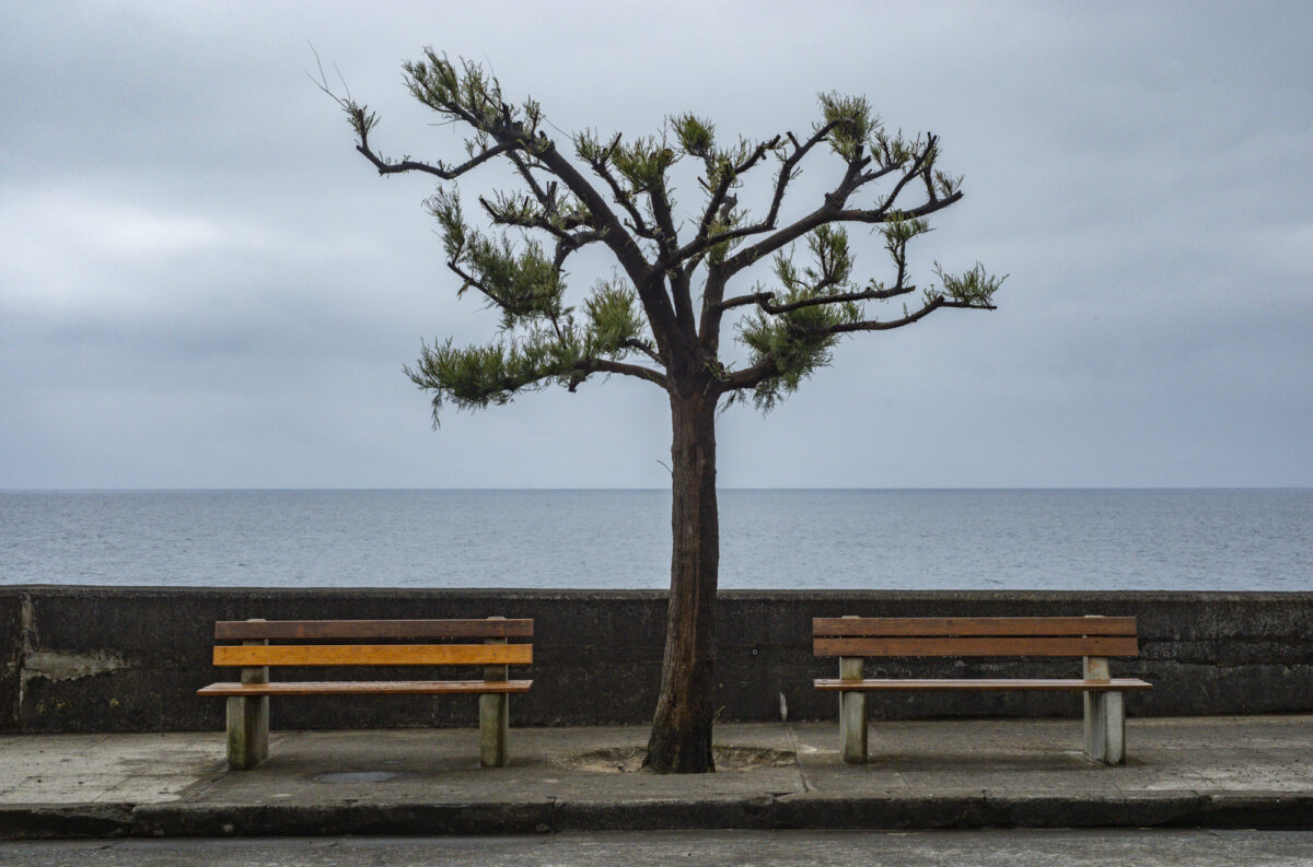 San Miguel, The Azores 2025