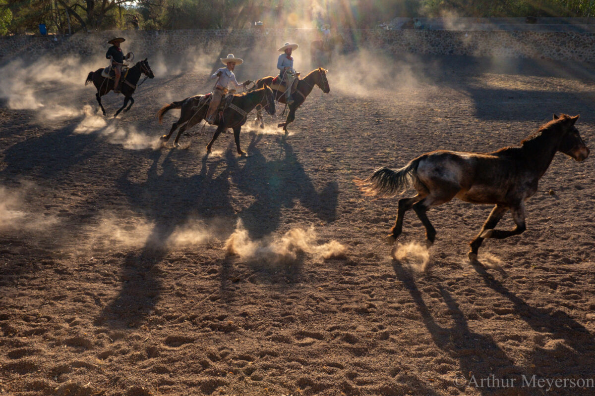 Rodeo Riders