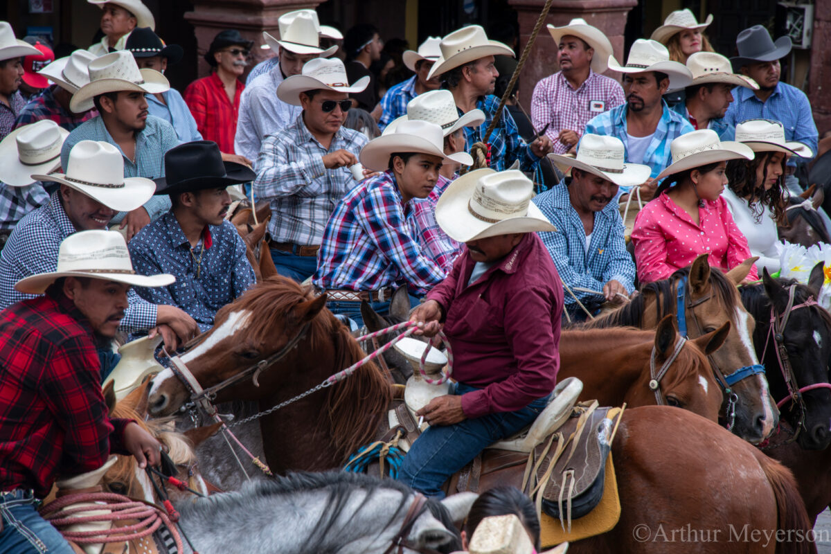 Blessing The Horses