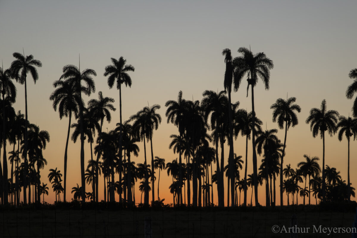 On The Road To Camaguey
